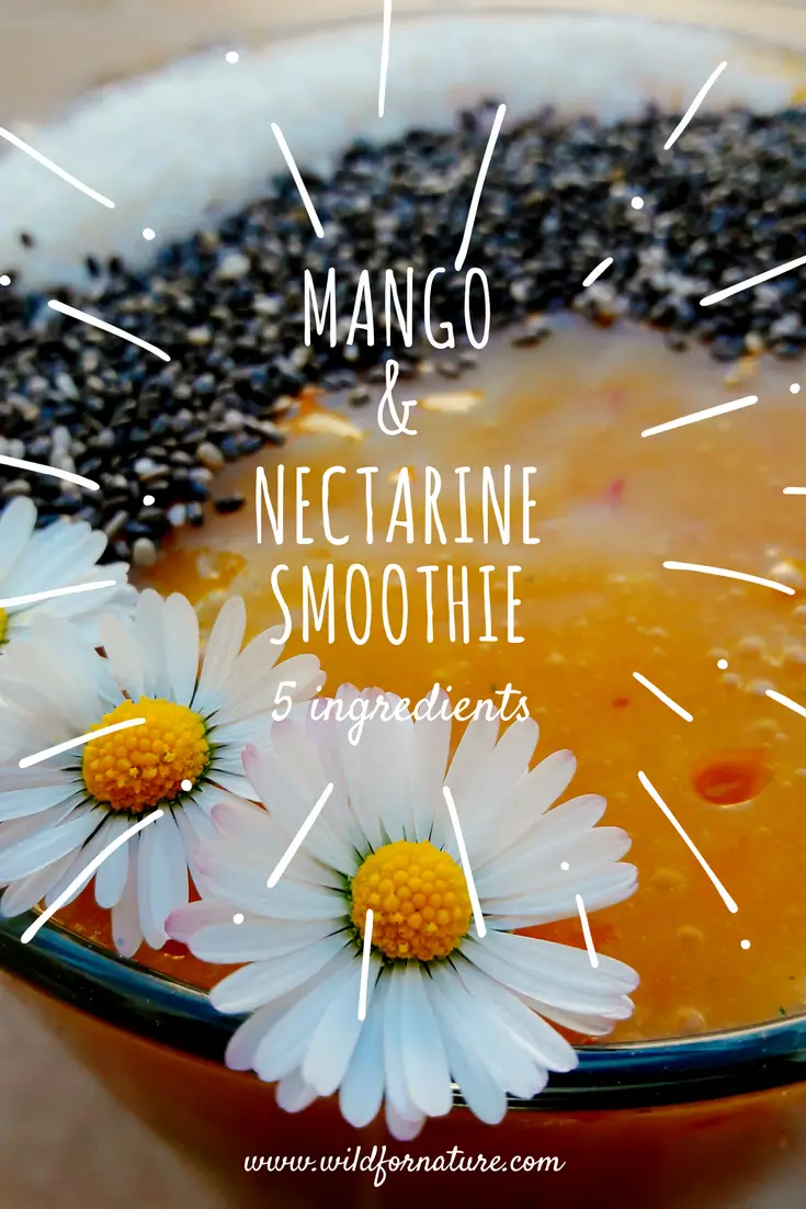 Mango and nectarine smoothie, vegan