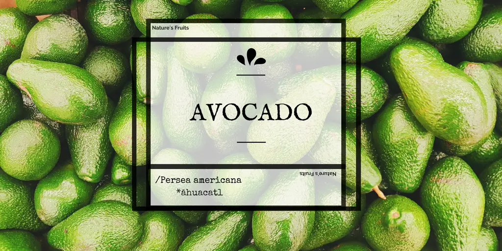 avocado beauty uses and health benefits