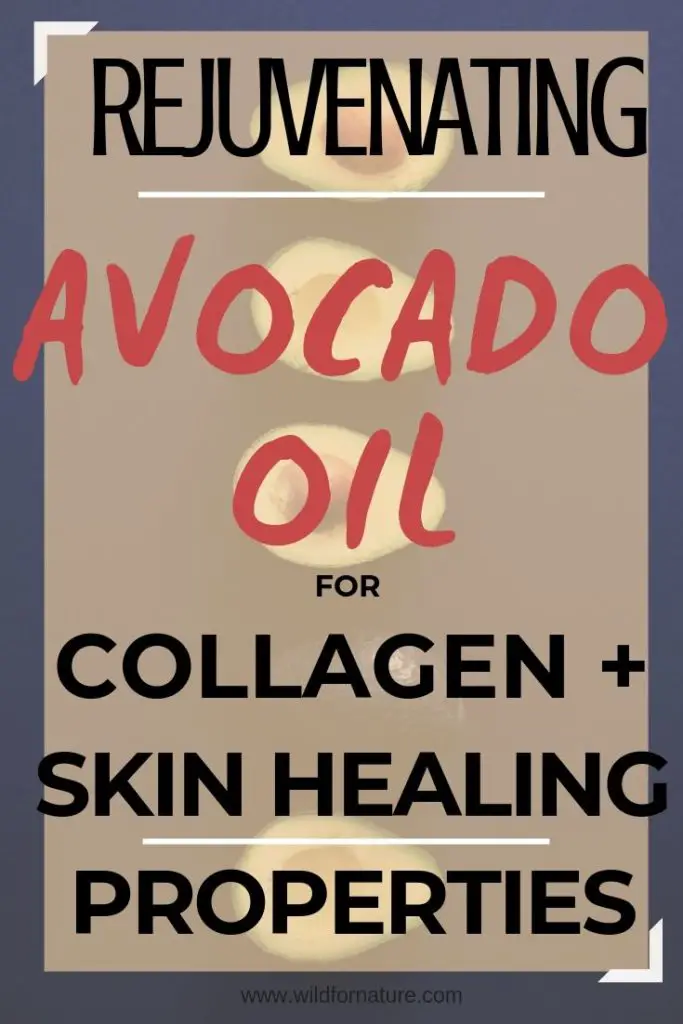 avocado oil skin benefits