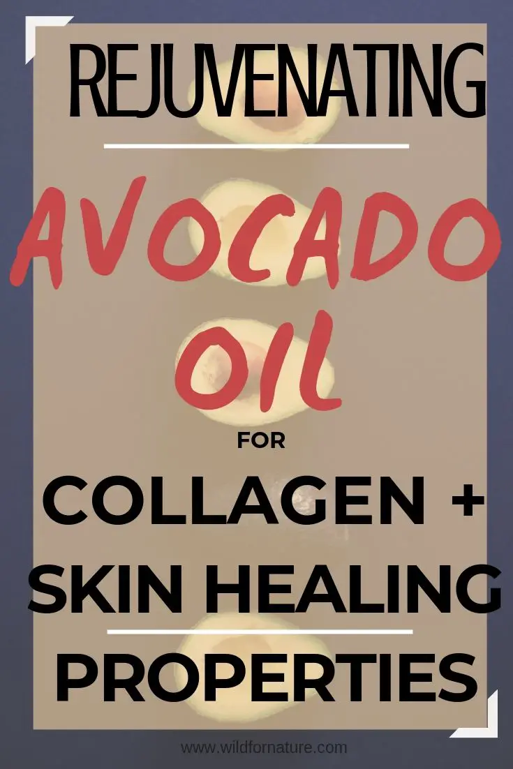 Avocado Oil Benefits For Skin & Hair Get Radiance and Elasticity