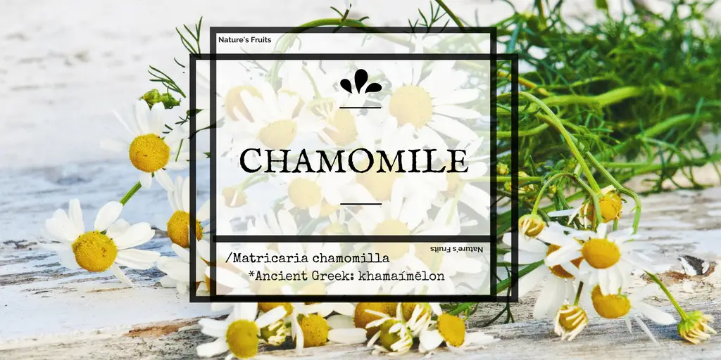 chamomile health benefits, chamomile for skin and hair