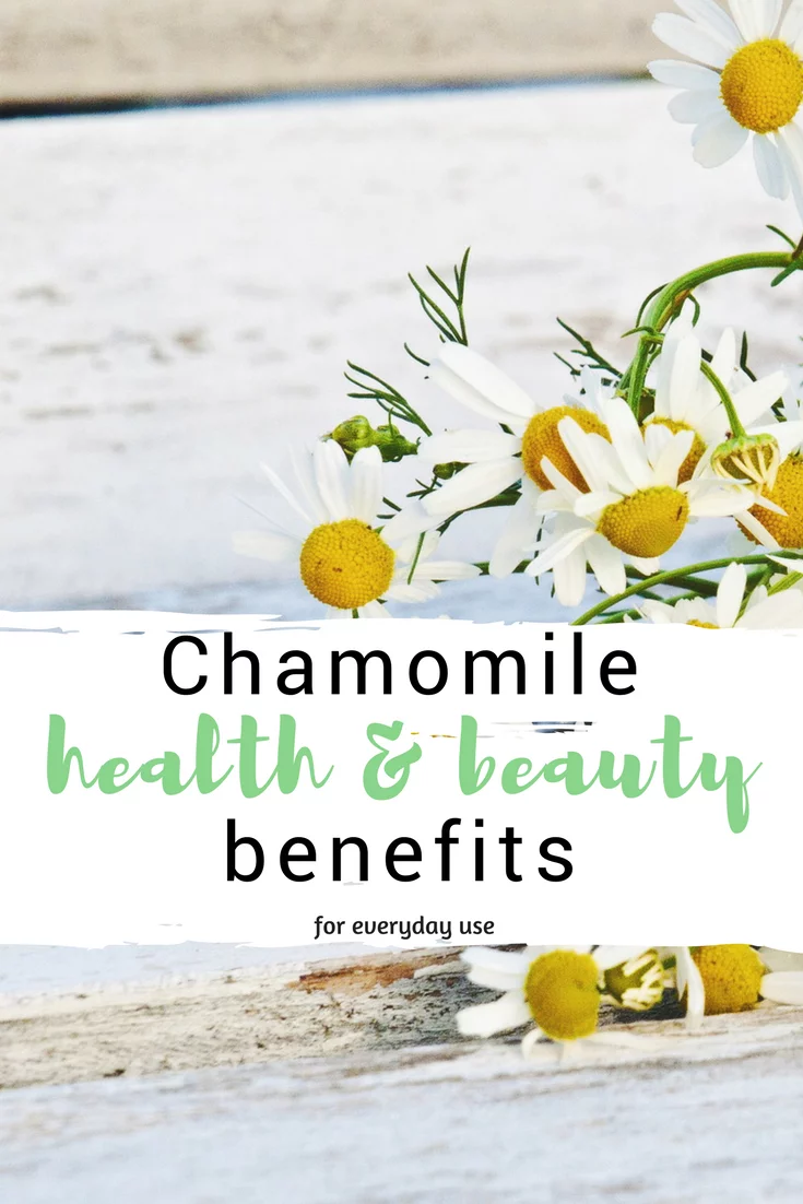 Soothing CHAMOMILE health and skin benefits Wild for Nature