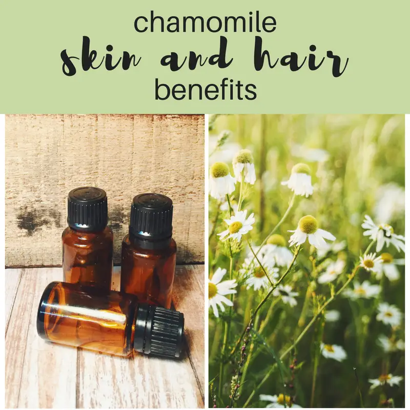 chamomile health and skin benefits 