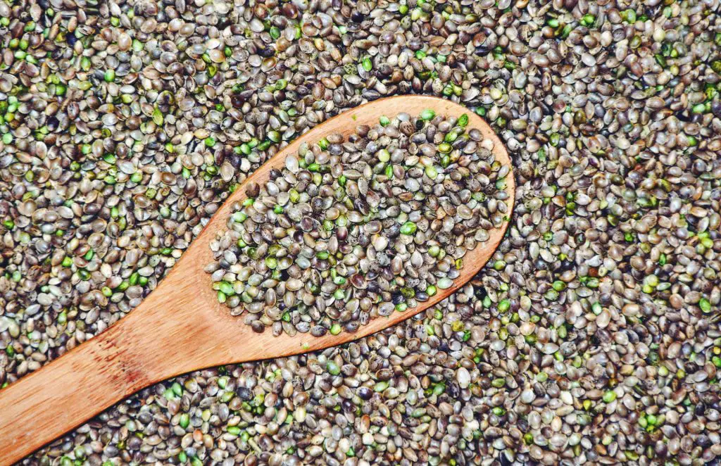 chia seeds benefits and uses