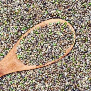 chia seed oil benefits