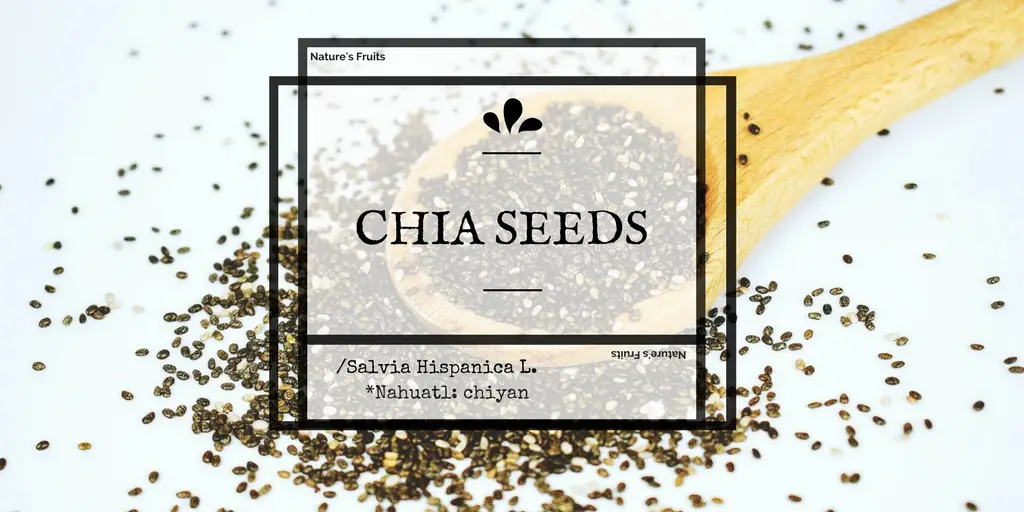 chia seed benefits, uses