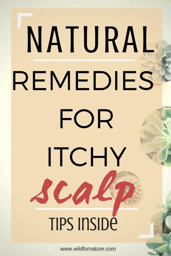 itchy scalp remedy