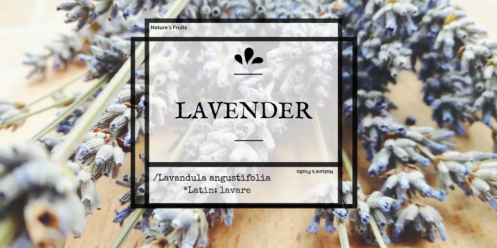 lavender benefits
