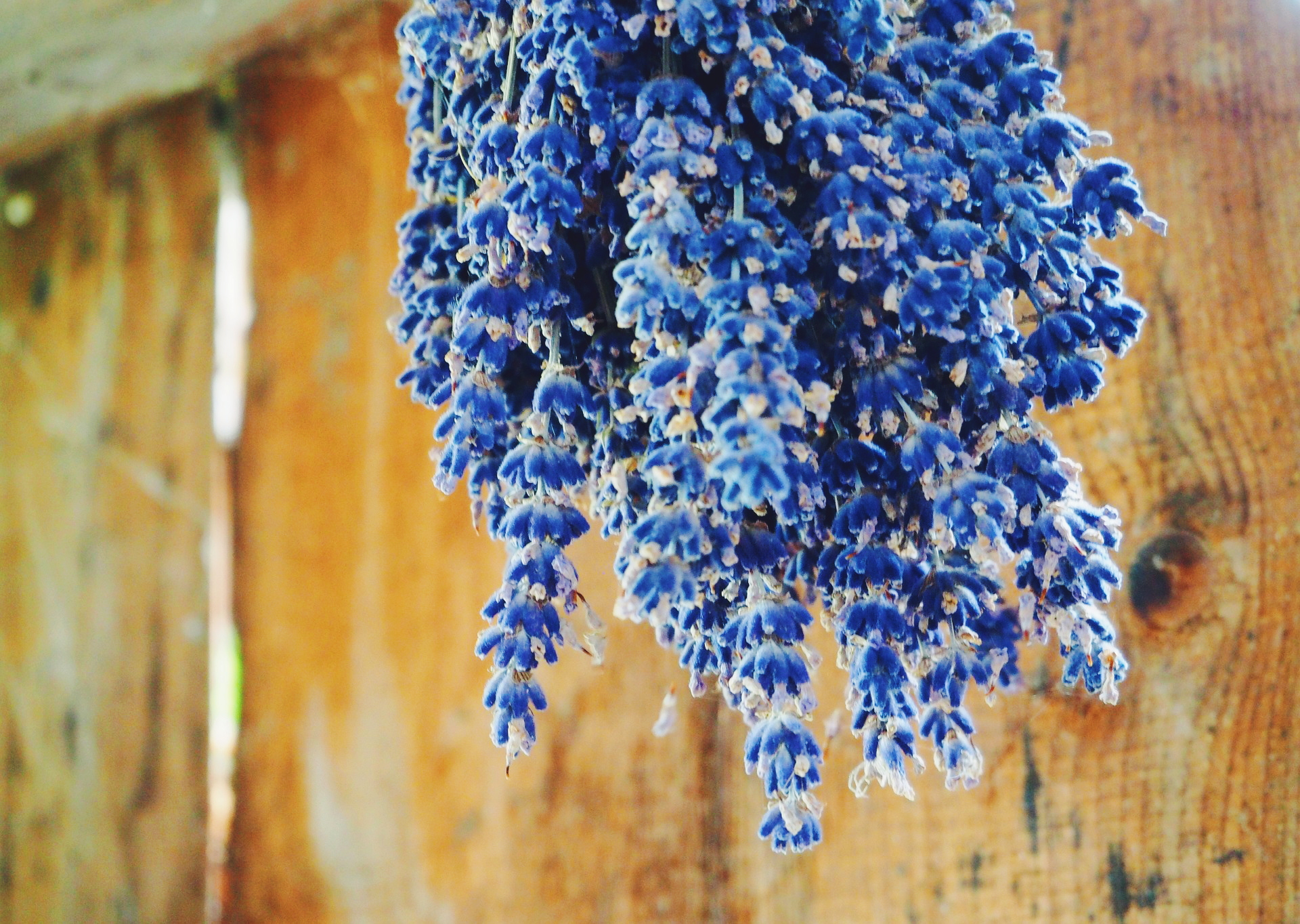 simple vegan lavender recipes to make on a stressful day