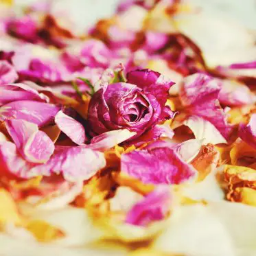 rosewater skin benefits and uses