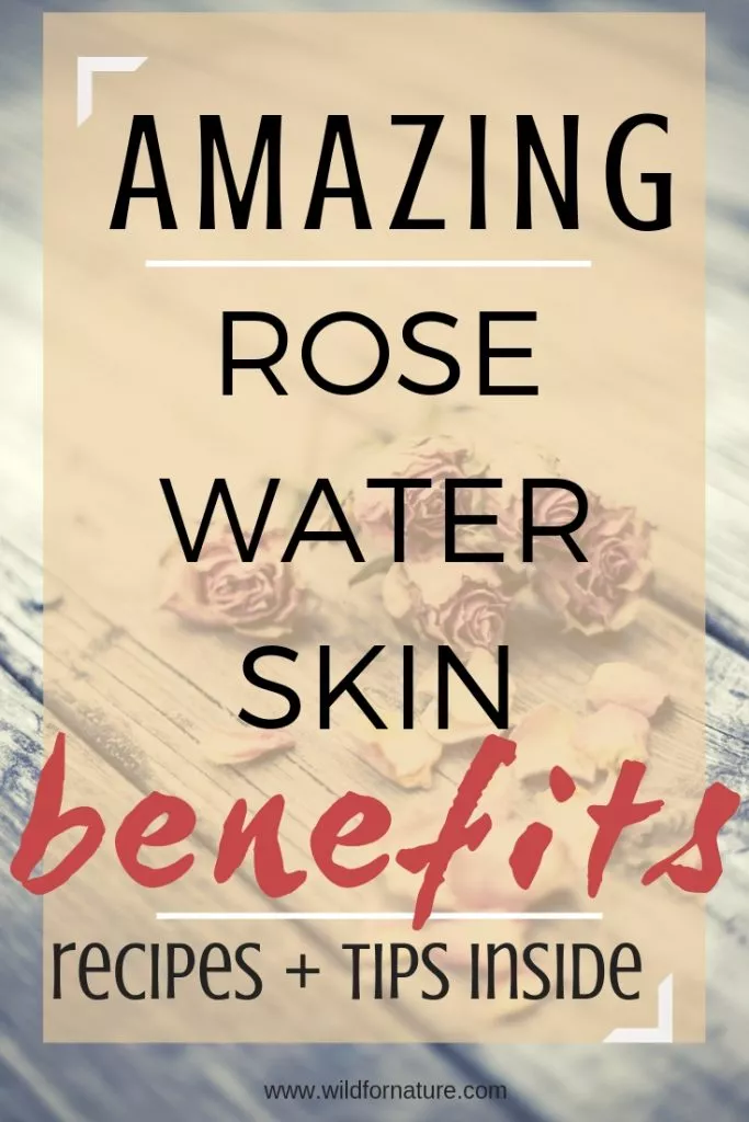 What is Rose Water Good For? A Detailed Guide To SkinHealing Tonic