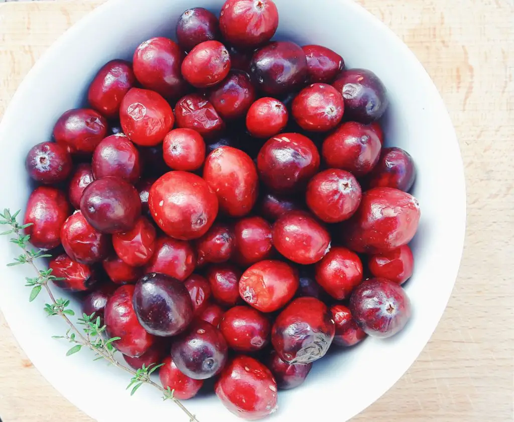 cranberry health benefits and uses