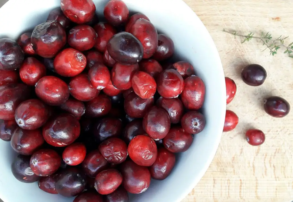 cranberry health benefits and uses for skin, hair