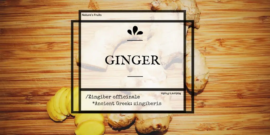 Natures Fruits ginger