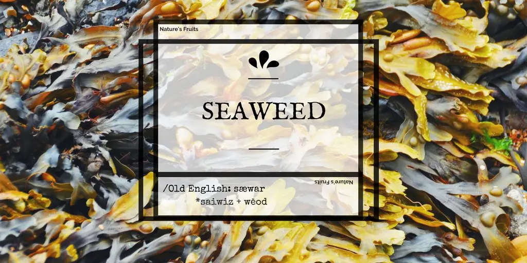 seaweed skin benefits