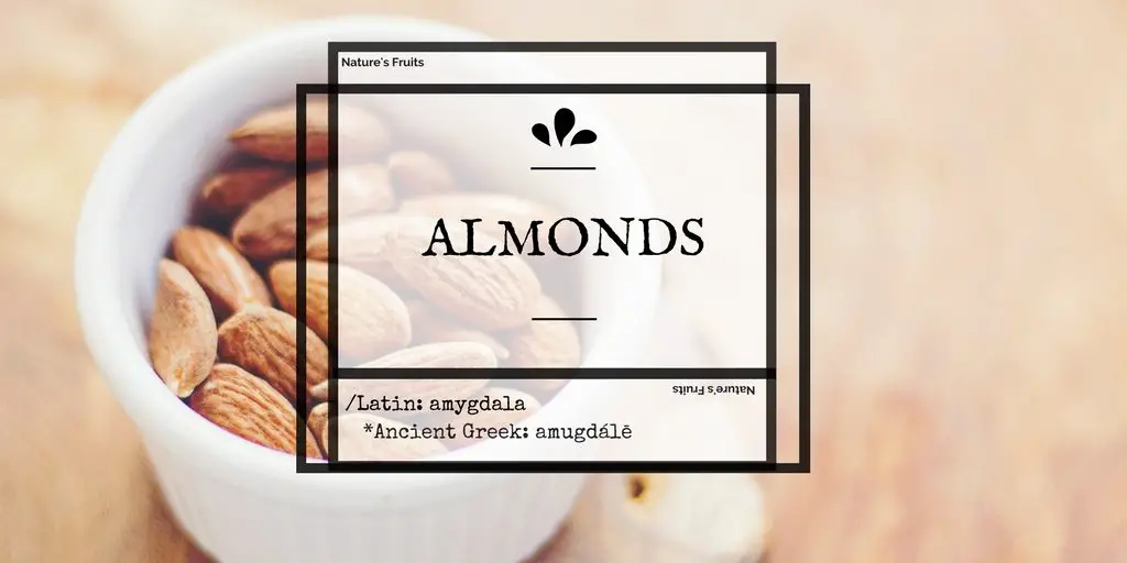 almond benefits for skin