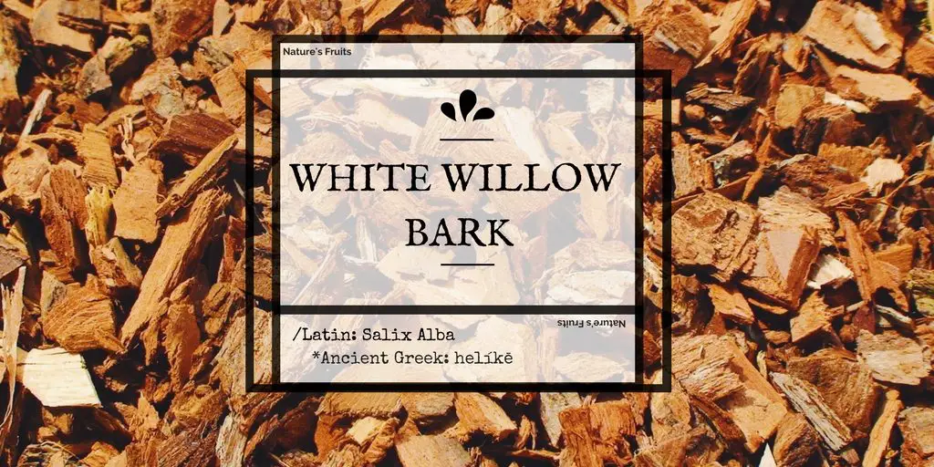 white willow bark