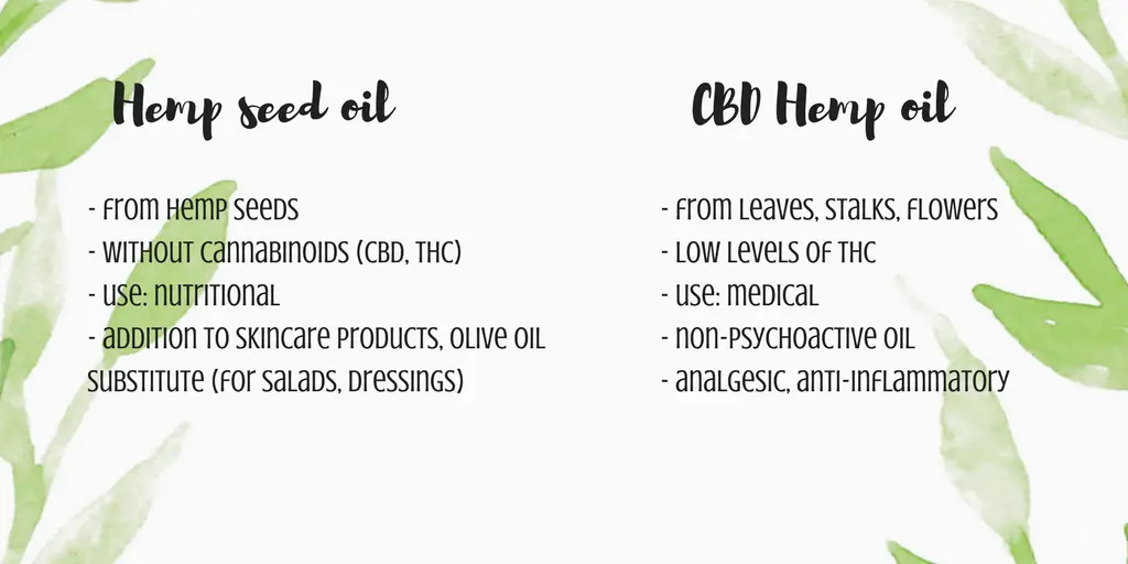 Top 8 Hemp Seed Oil Skin Benefits And How To Use It [2023 Update