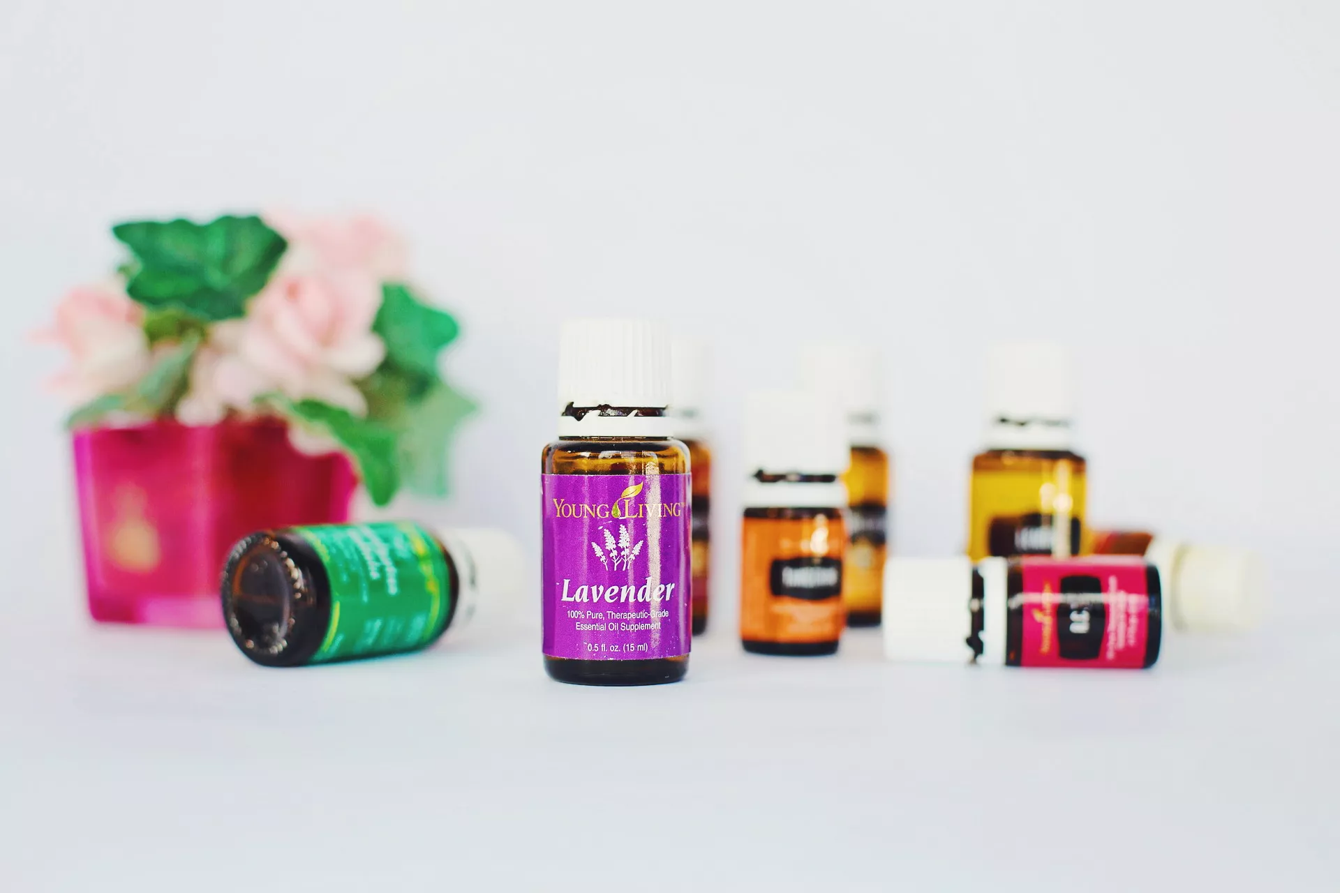 10 Best Oils That Minimize Dark Circles (+ Recipe) [2023 Update] Wild