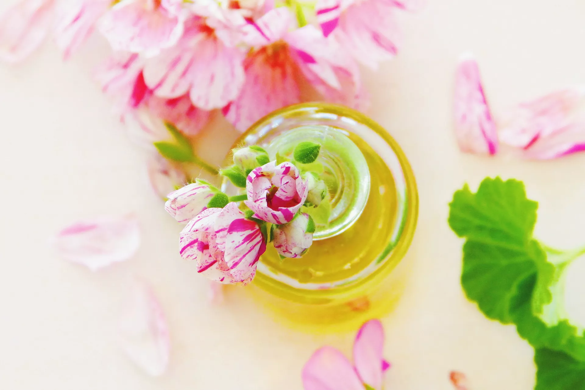 10 Best Oils That Minimize Dark Circles (+ Recipe) [2023 Update] Wild