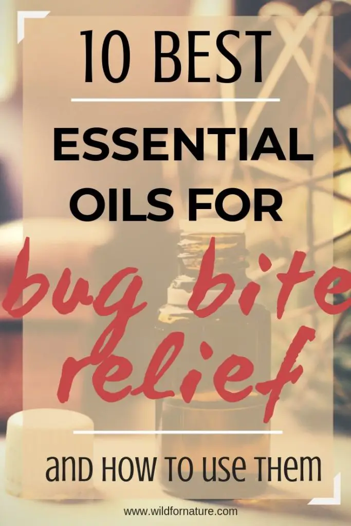 best essential oils for insect bites (1)