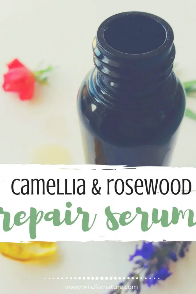 vegan DIY serum for dry skin (2)