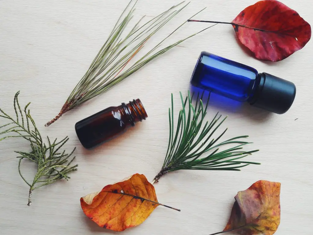 Winter essential oil blends for diffuser