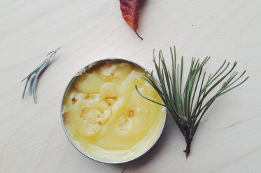 homemade paw balm for dogs recipe