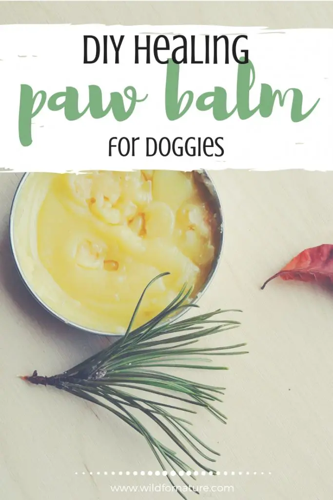 paw balm for dogs recipe