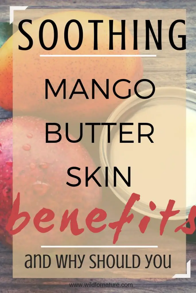 Let's Talk About Mango Butter Skin Benefits (Why Use It?) Wild for Nature
