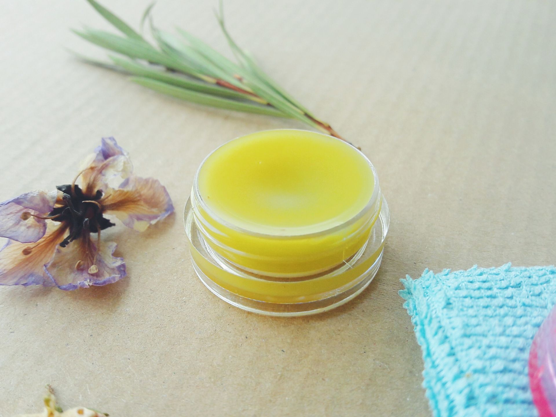 Lemongrass Hemp Seed Oil Lip Balm (For Dry Lips) Wild for Nature